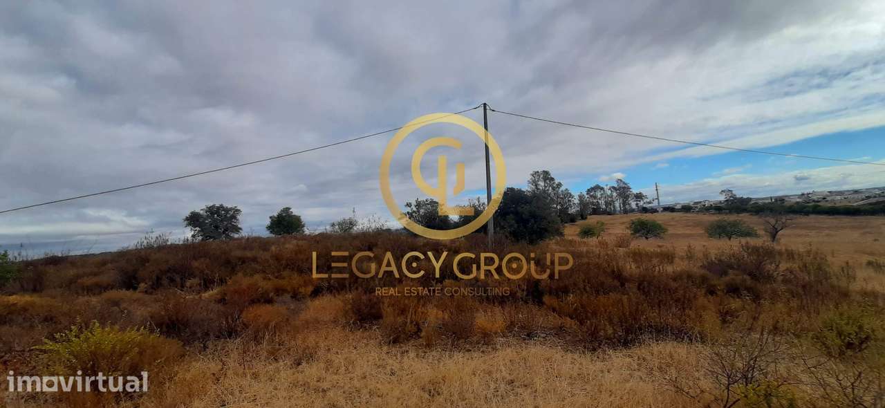 Terreno Agrícola no Azinhal – Zona Tranquila com Bons Acessos - Grande imagem: 5/16