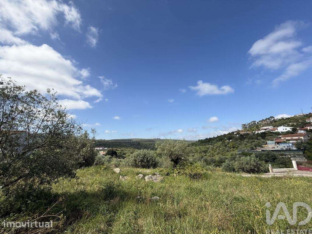 Terreno em Alqueidão da Serra - Grande imagem: 2/20