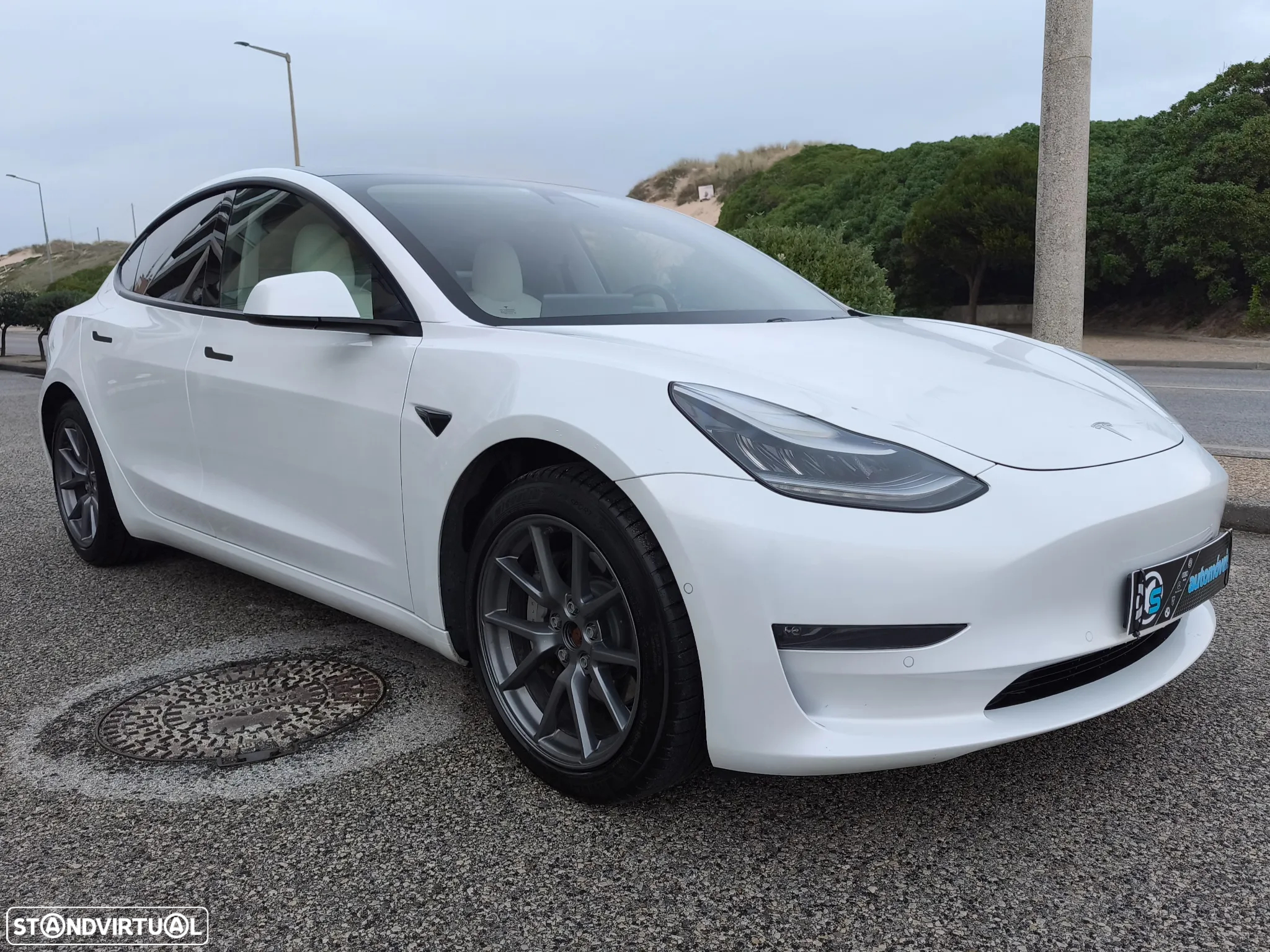 Tesla Model 3 Performance Dual Motor AWD - 3