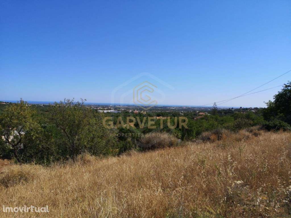 Moradia antiga com Vista Mar, Boliqueime, Algarve - Grande imagem: 5/10