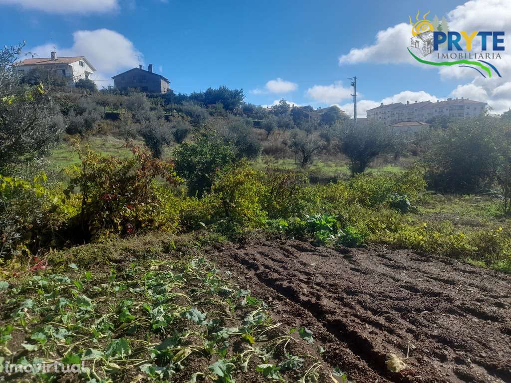 Terreno com 6000 metros quadrados em Linhares - Proença-a-Nova - Grande imagem: 2/12