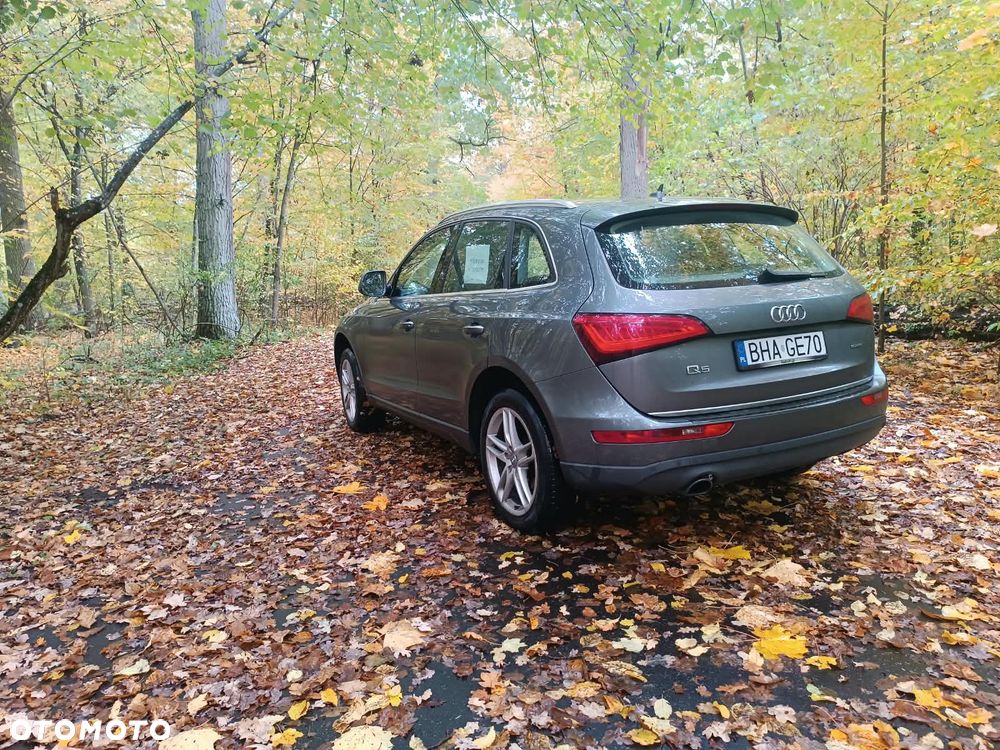 Audi Q5 2015 photo 5