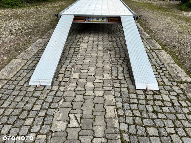 Głowacz WIDPOL - 10