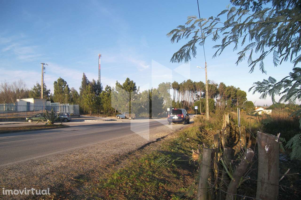 Terreno Para Construção  Venda em Currelos, Papízios e Sobral,Carregal - Grande imagem: 5/9
