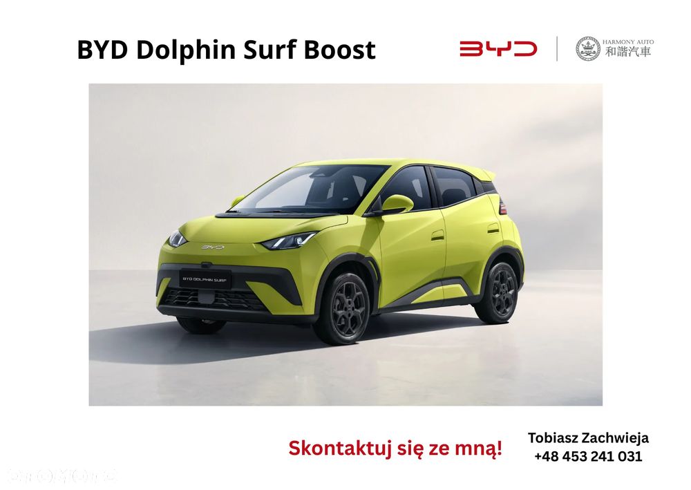 BYD Dolphin Surf - 1