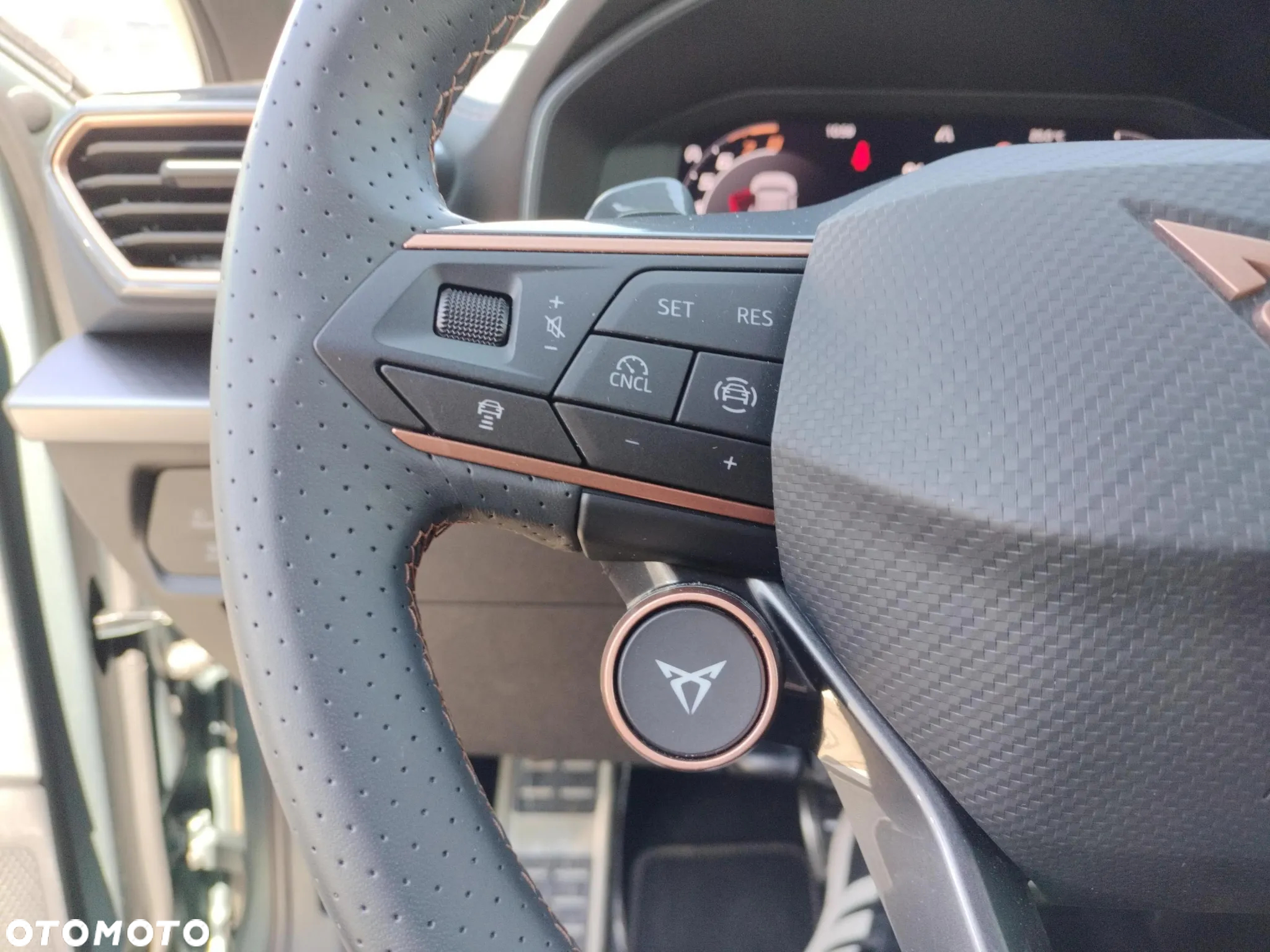 Cupra Formentor 2.0 TSI 4Drive VZ DSG - 27