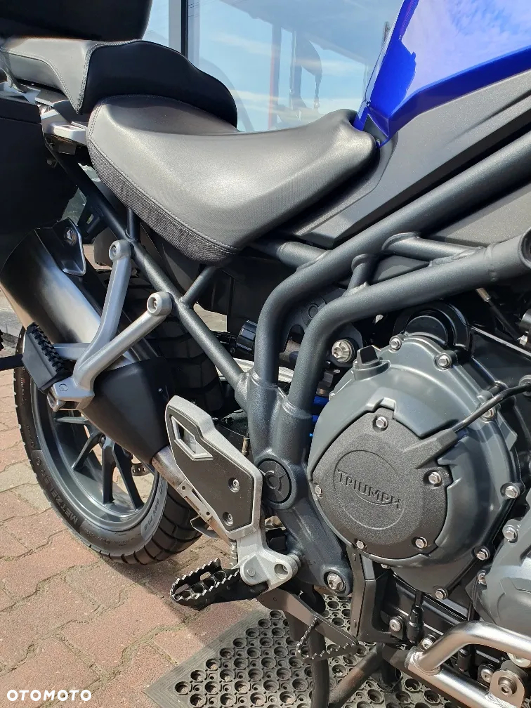 Triumph Tiger - 21