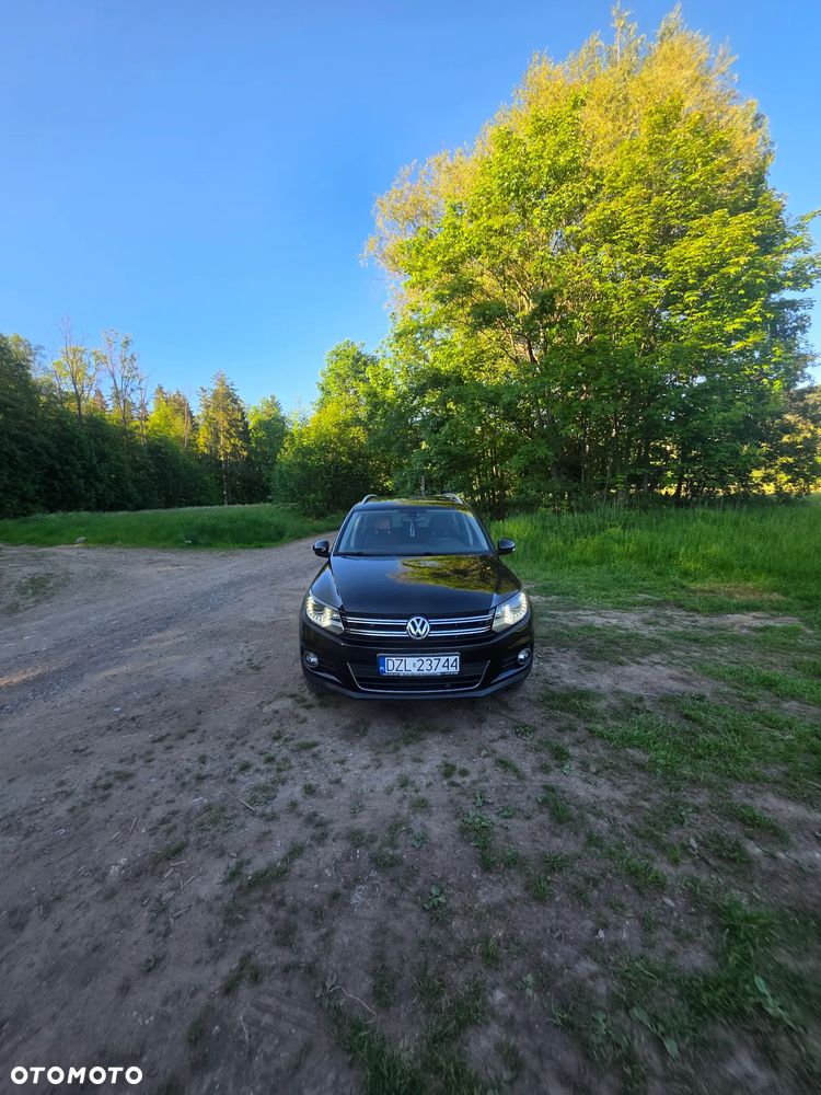 Volkswagen Tiguan - 1