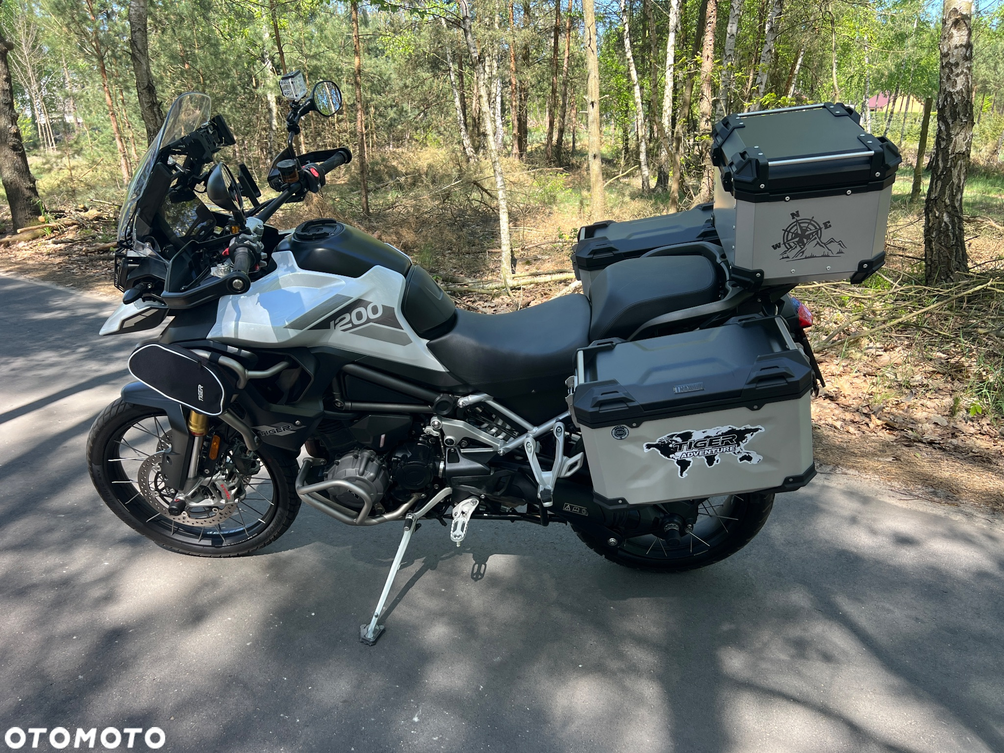 Triumph Tiger - 13