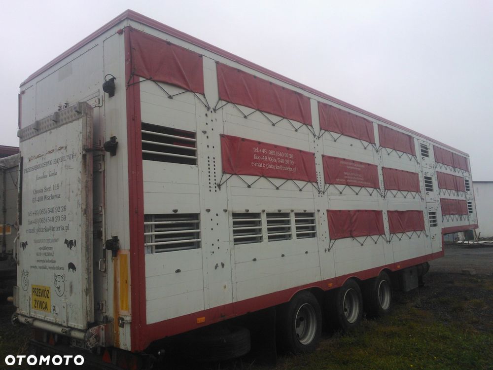 Zorzi 36s 136/19 LA - 2