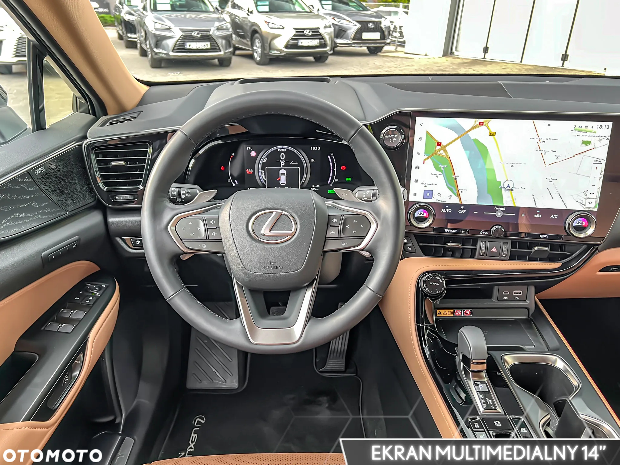Lexus NX 350h Omotenashi AWD - 19