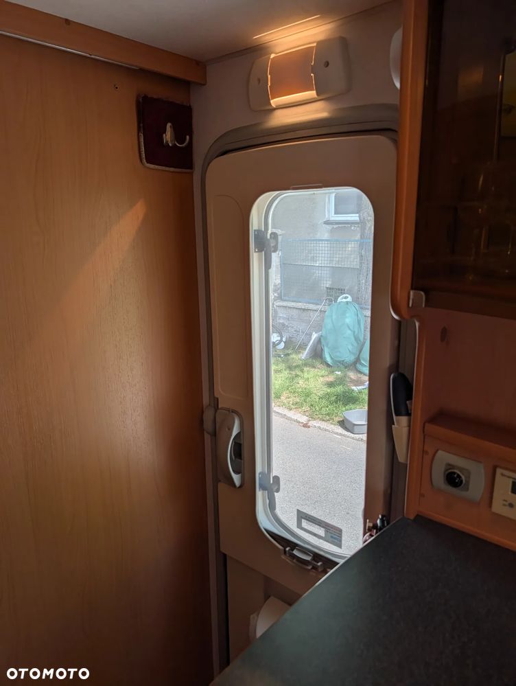 Avondale Golden Avocet - 37