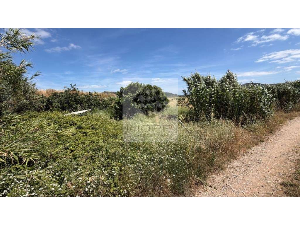 Excelente Oportunidade de Investimento - Terreno com 1,25 Ha - Grande imagem: 2/11