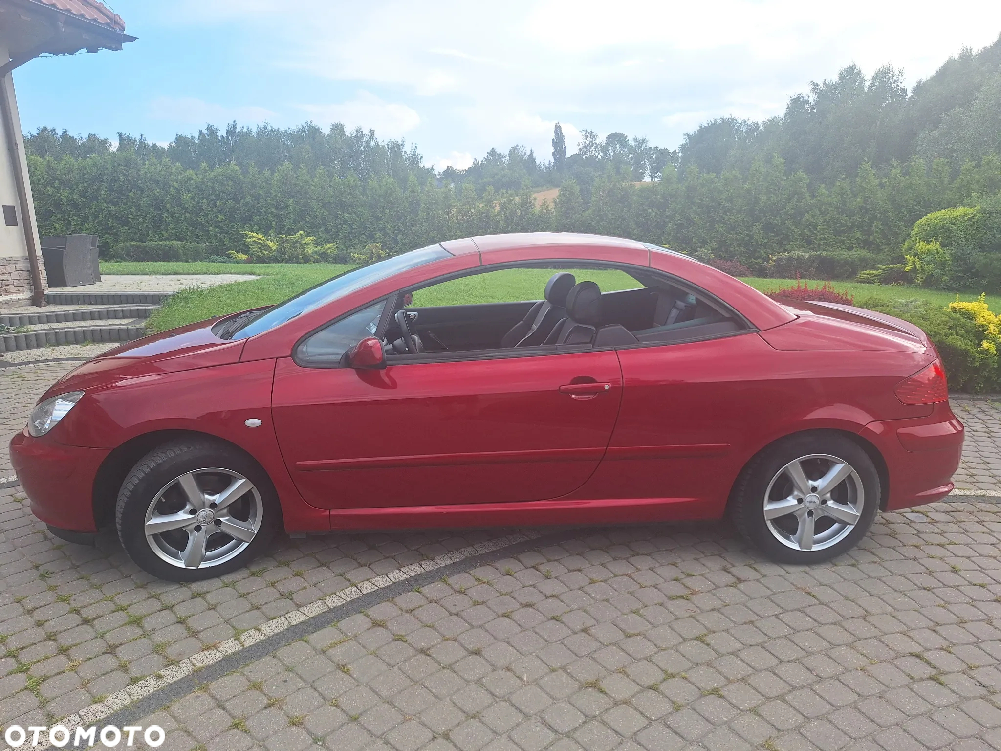 Peugeot 307 CC 2.0 - 8