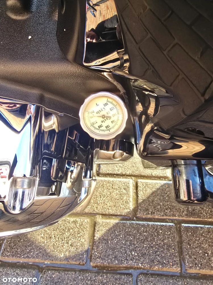 Indian Springfield - 14