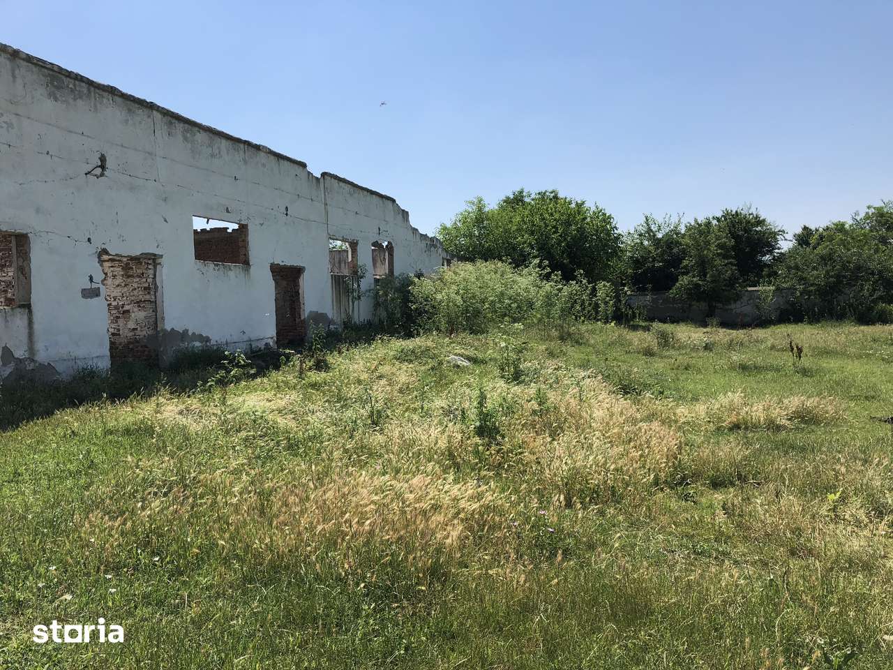 Teren + construcții de vânzare – Rădoiești Cetatea, jud. Teleorman - Imagine principală: 4/4