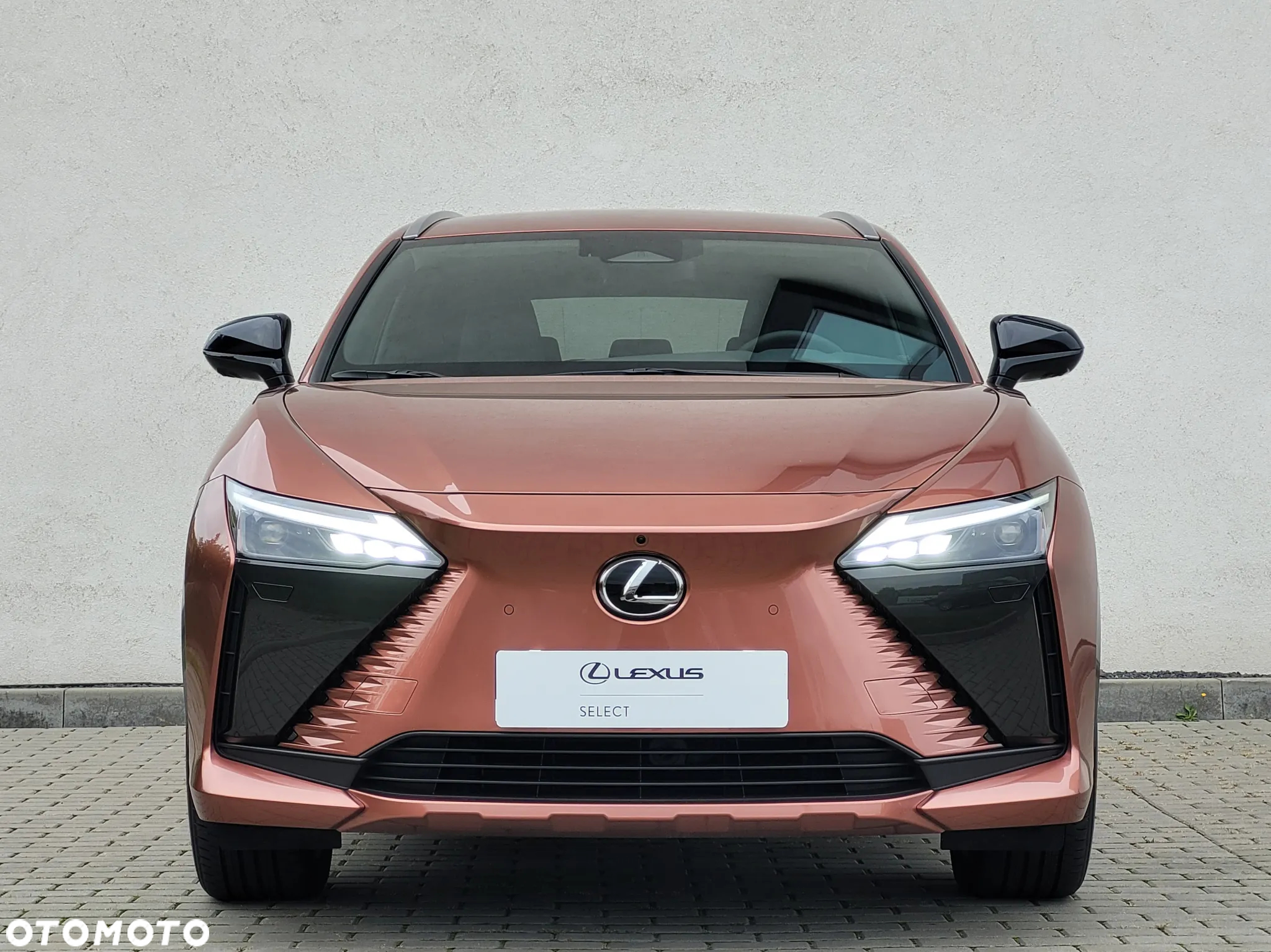 Lexus RZ 300e Omotenashi - 7