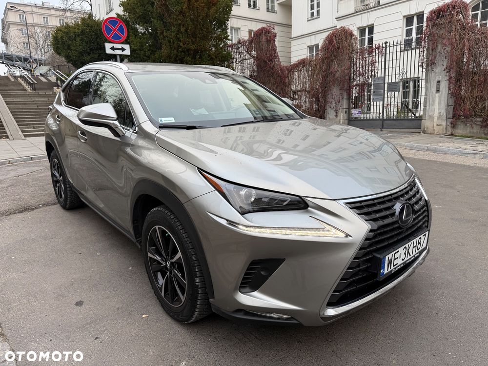 Lexus NX 300h Prestige AWD - 7