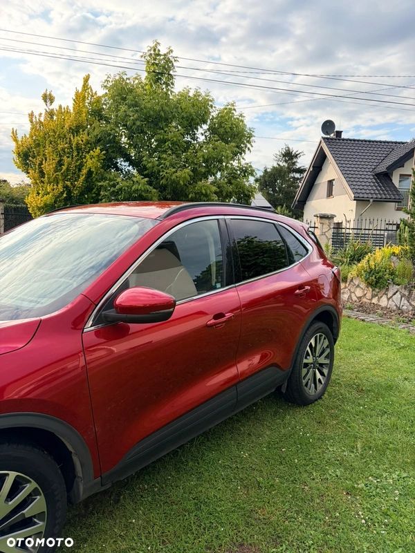 Ford Escape - 7