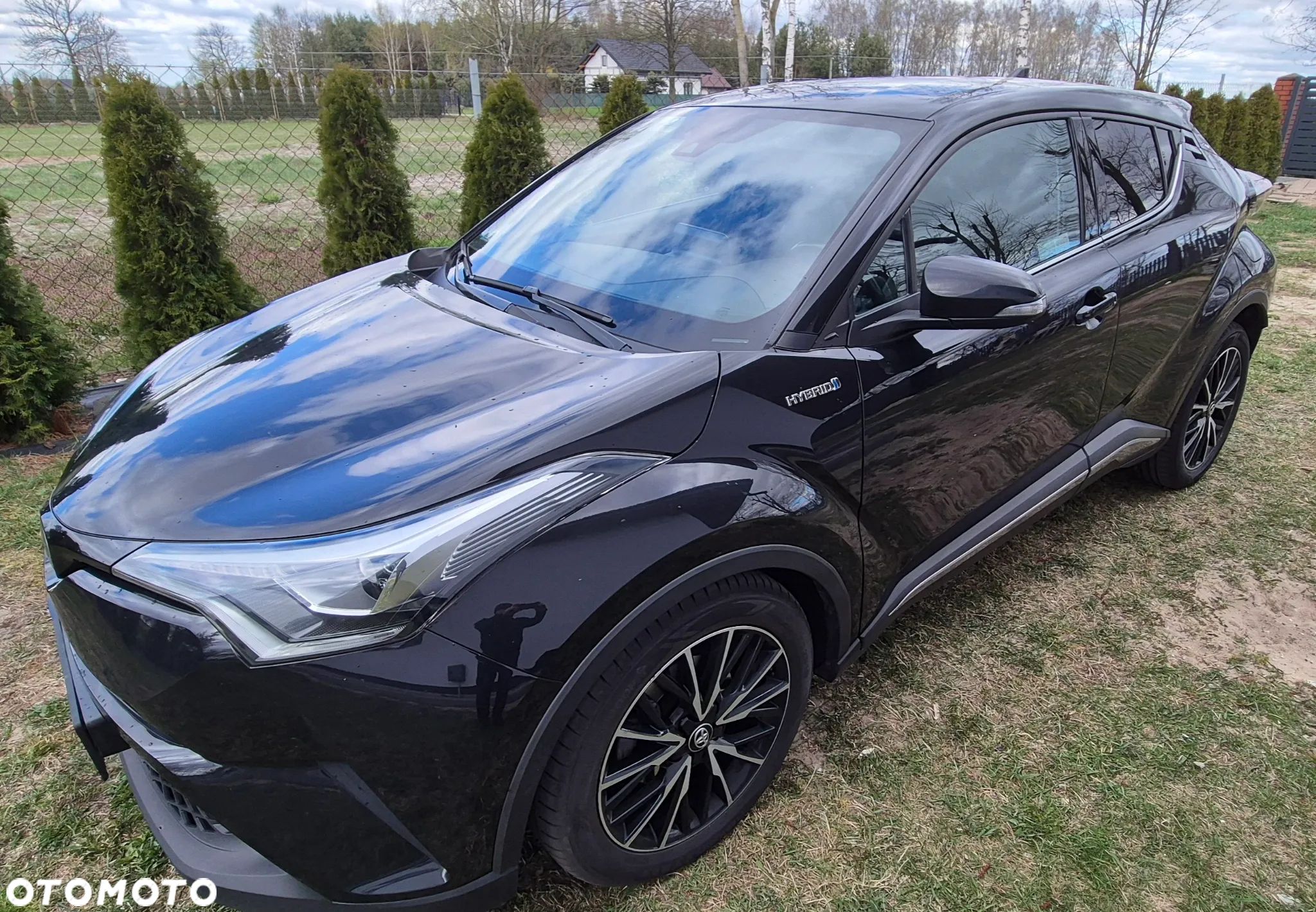 Toyota C-HR - 1