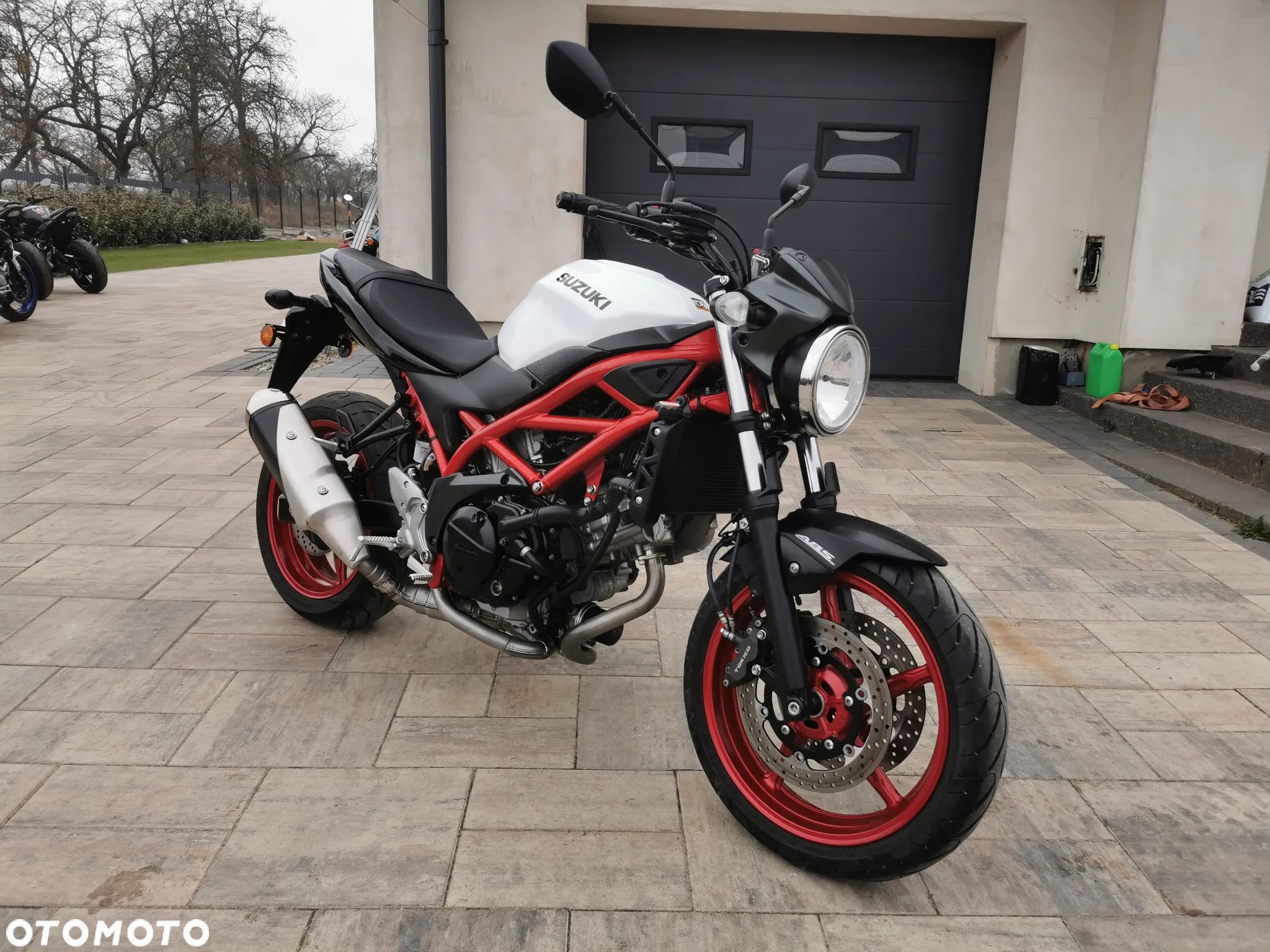 Suzuki SV - 1
