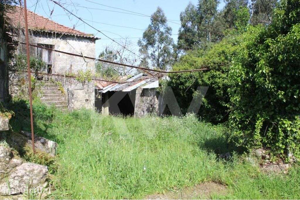 Moradia e terreno com 4200m2 em Valença. Investimento Estratégico em T - Grande imagem: 3/20