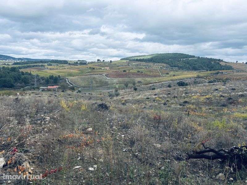 Terreno rústico urbanizável - Grande imagem: 2/9