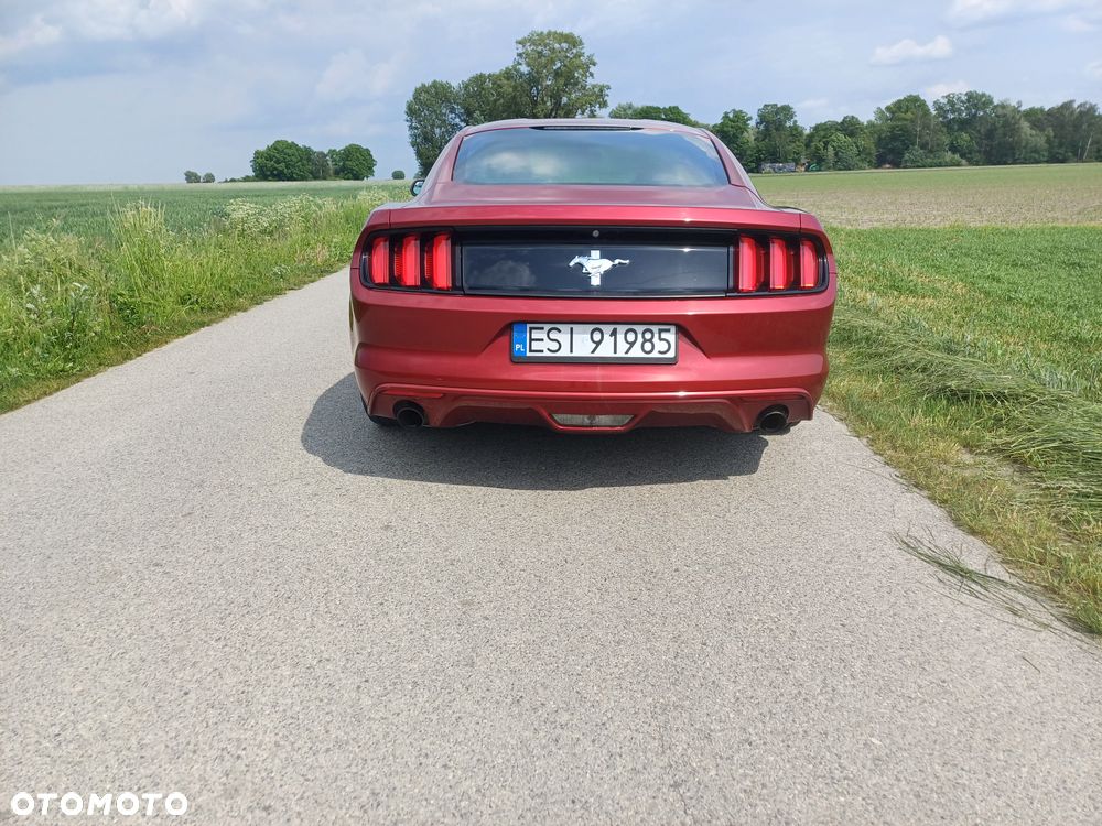 Ford Mustang 3.7 V6 - 7