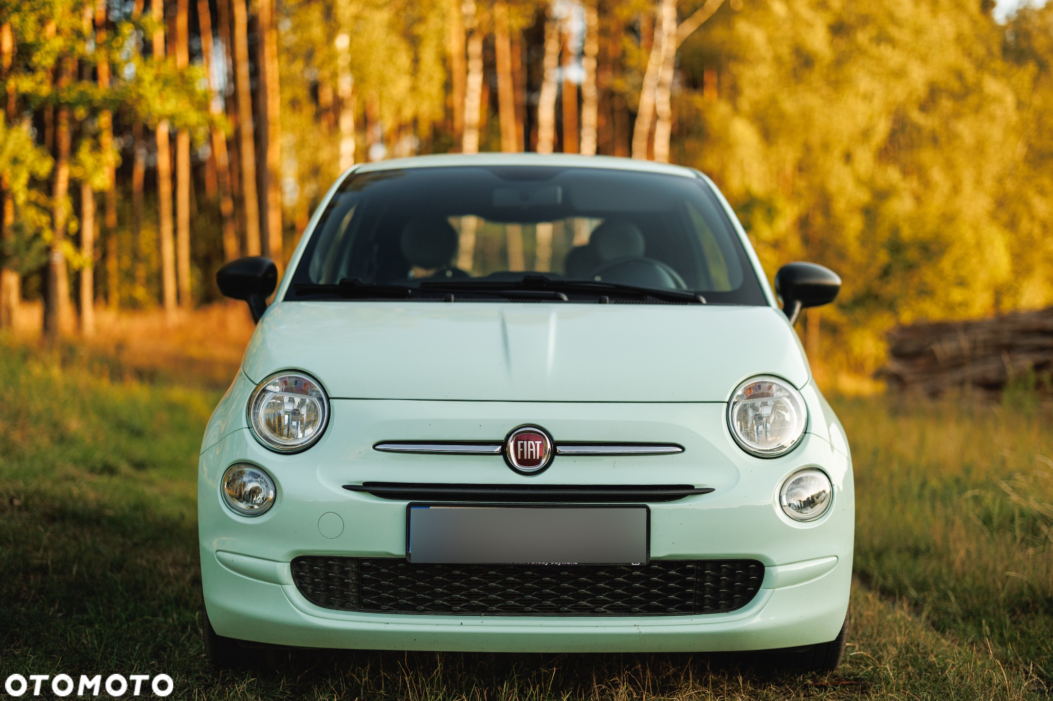 Fiat 500 1.0 Hybrid Pop - 2