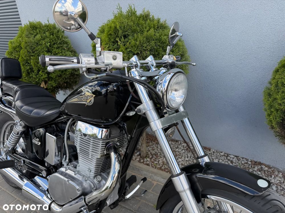 Suzuki Savage - 10