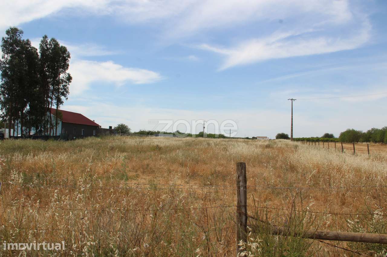 Terreno rústico com uma área generosa de 3 Hectares totalmente plan... - Grande imagem: 2/15