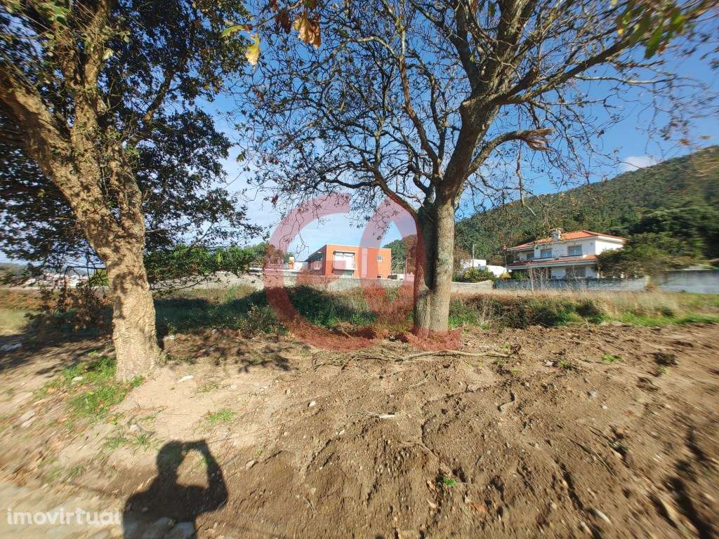 Terreno - Carreço - Grande imagem: 4/11