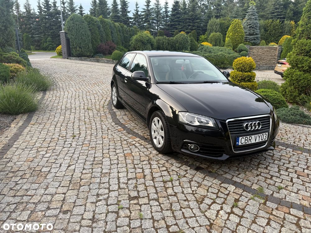 Audi A3 3-drzwiowe - 3