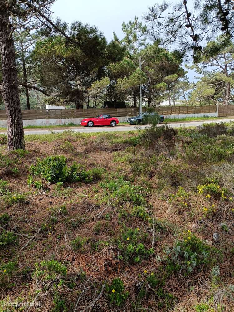 Terreno urbano 570m2 na zona de Falca perto da praia e rodeada de espa - Grande imagem: 5/25