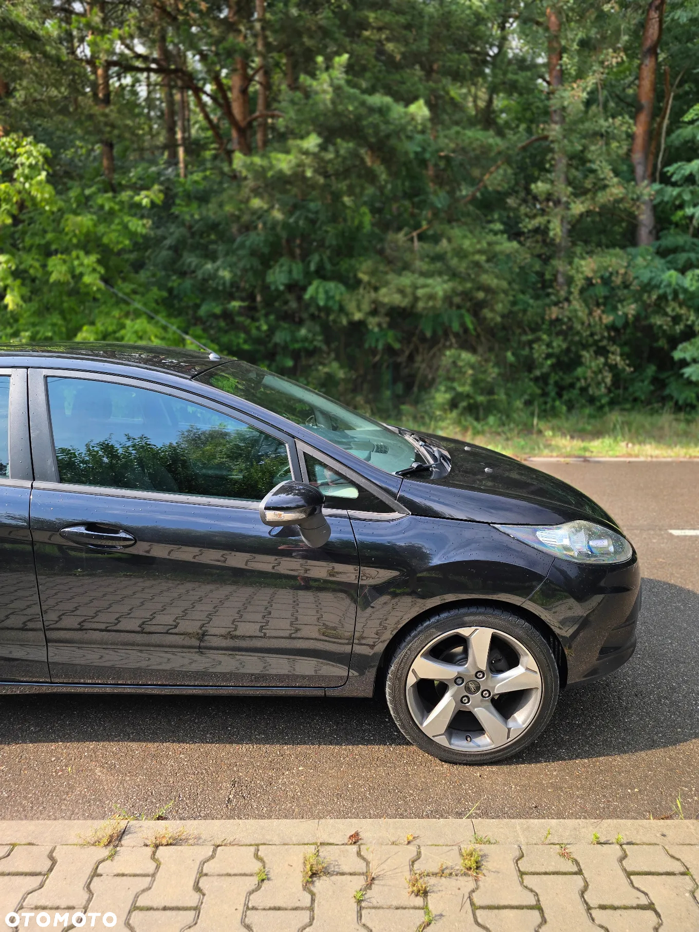 Ford Fiesta 1.25 Champions Edition - 12