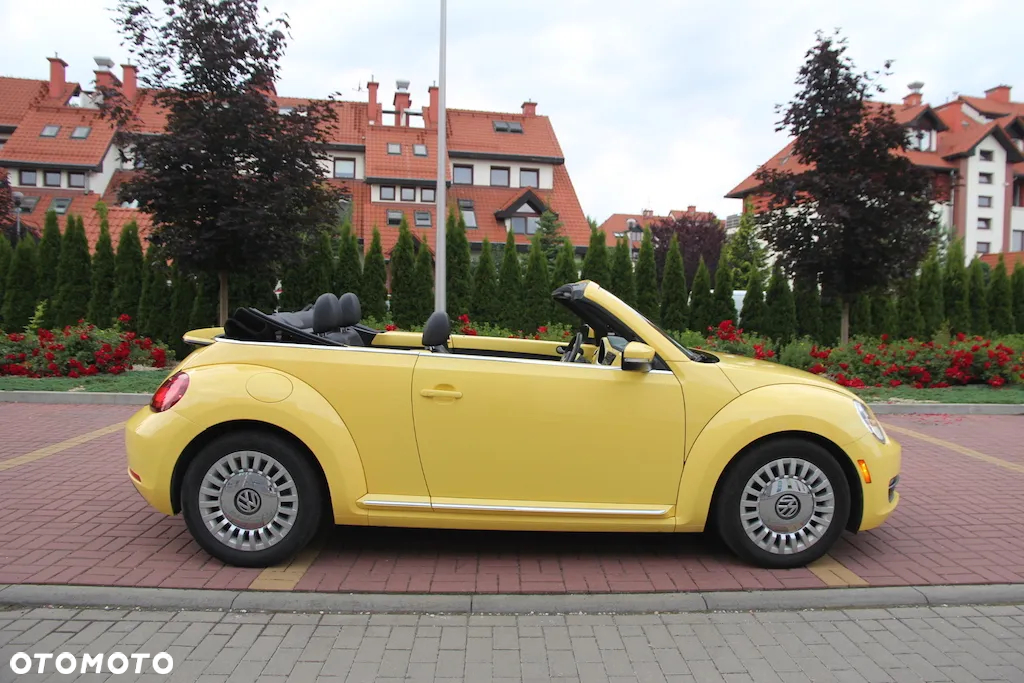 Volkswagen Beetle - 10