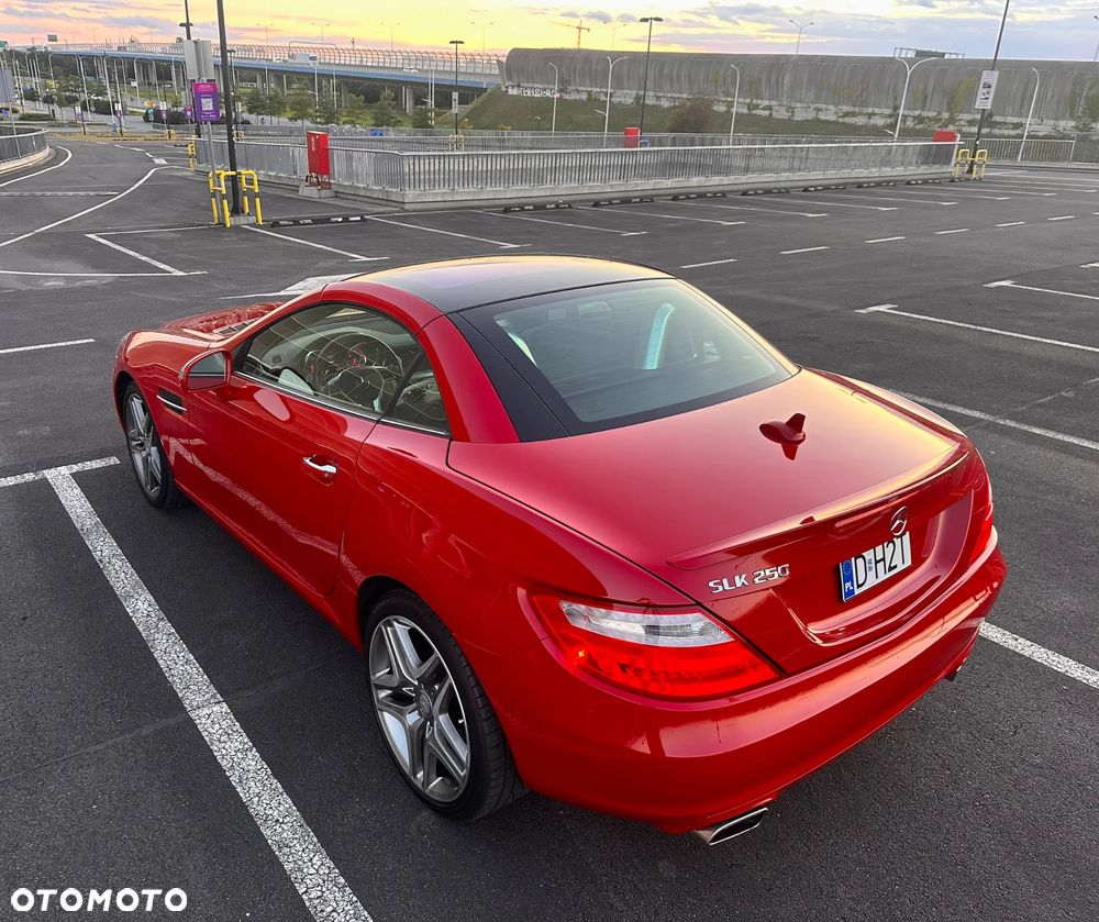 Mercedes-Benz SLK 250 (BlueEFFICIENCY) 7G-TRONIC - 19