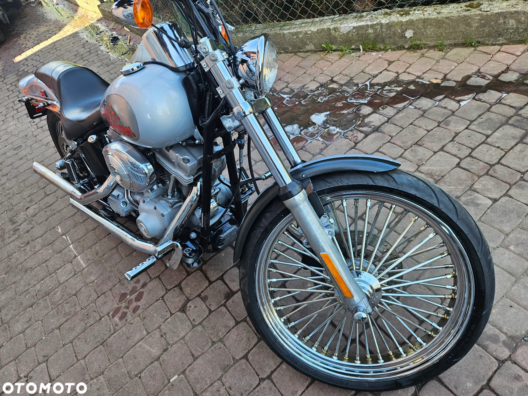 Harley-Davidson Softail - 11
