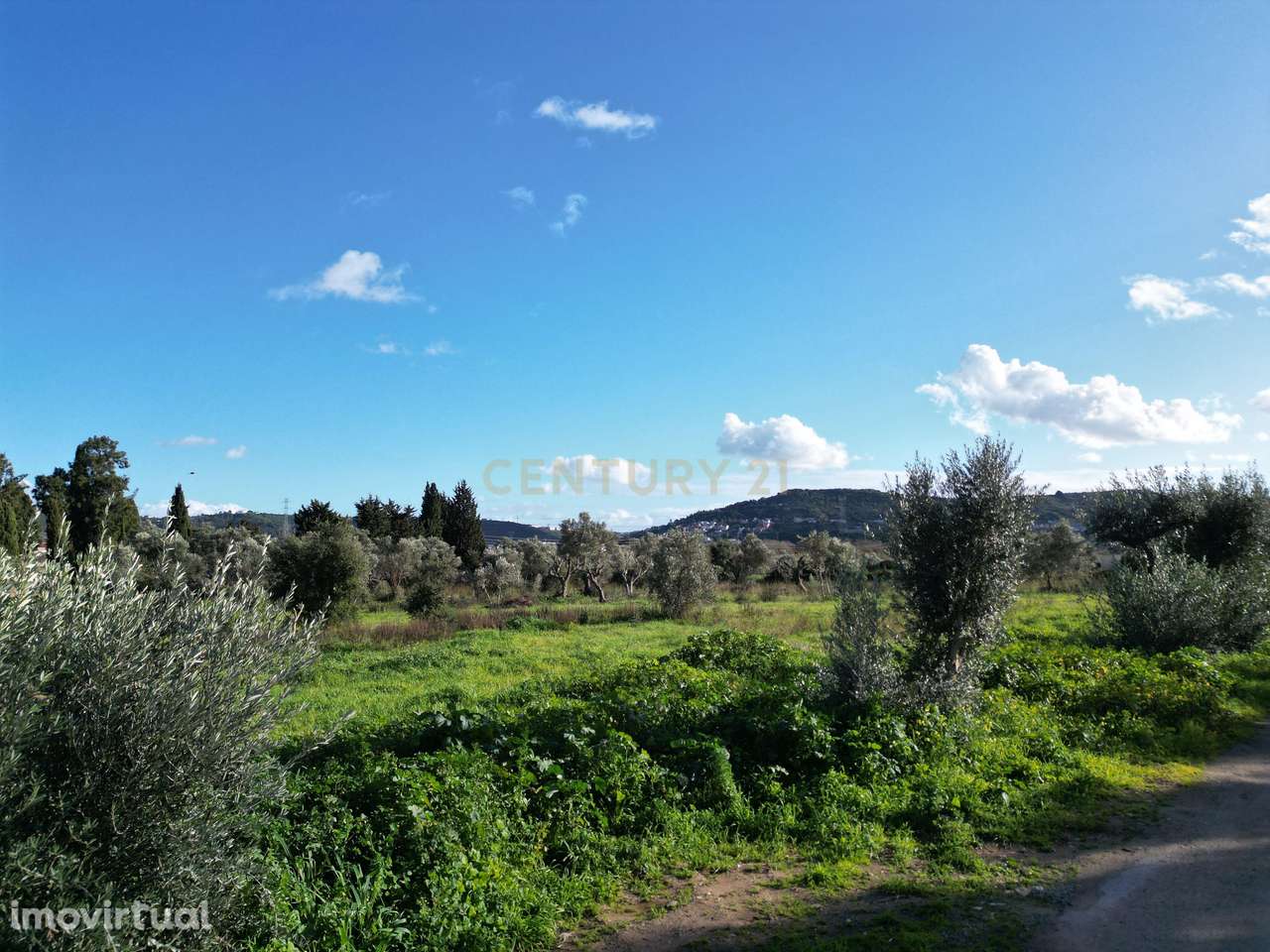Terreno com PIP para LAR /  Residencia Idosos e Apoio Domiciliário - Grande imagem: 2/32