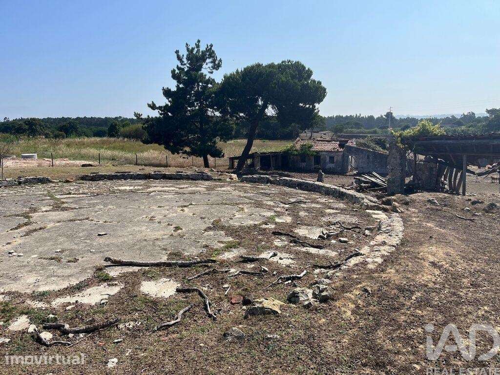Terreno misto em Caldas da Rainha - Santo Onofre e Serra do Bouro - Grande imagem: 4/6
