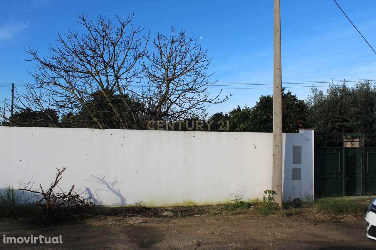 Terreno Industrial, Golegã - Grande imagem: 4/11