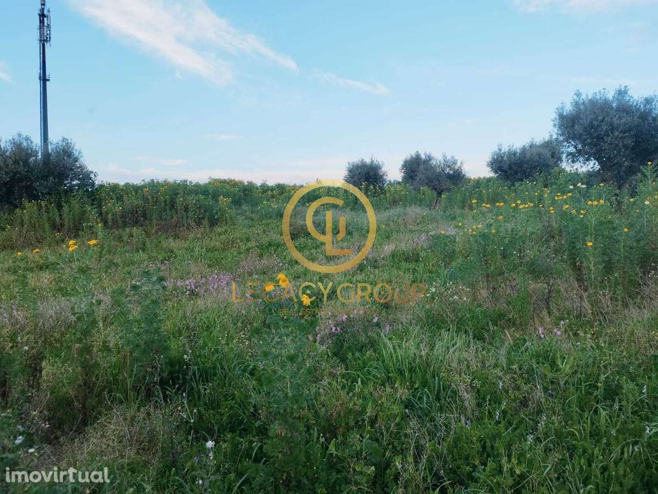 TERRENO DE 46.626m2 EM REDONDO - Grande imagem: 5/50