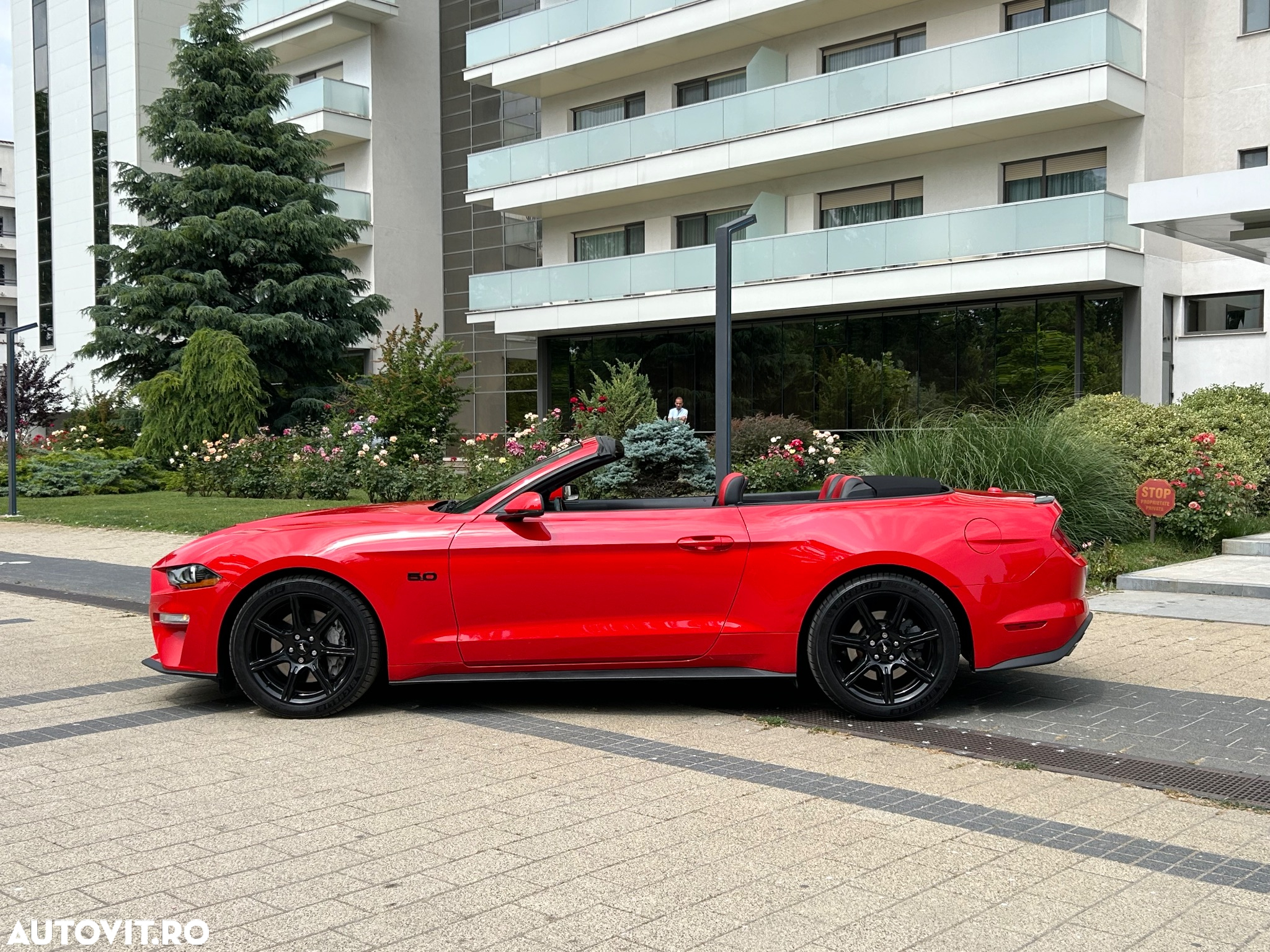 Ford Mustang 5.0 V8 Aut. GT - 3