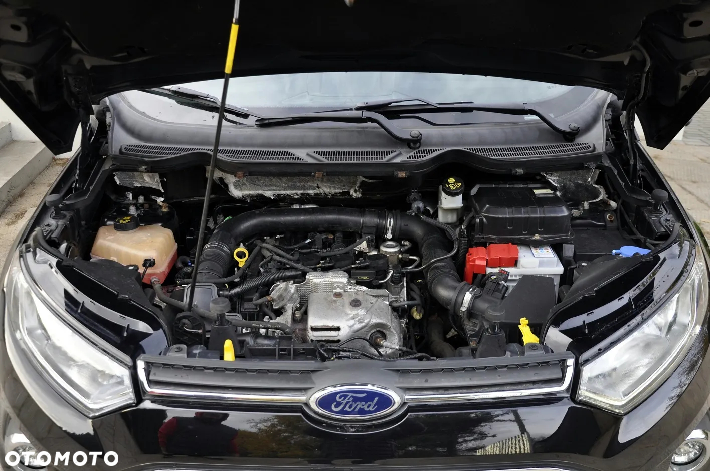 Ford EcoSport 1.0 EcoBoost TITANIUM - 24