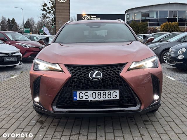 Lexus UX 300h F Sport Design AWD - 2