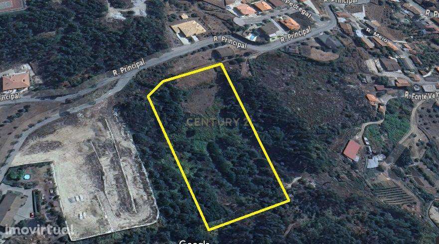 Quintinha em Cavernães, Viseu - Grande imagem: 3/5