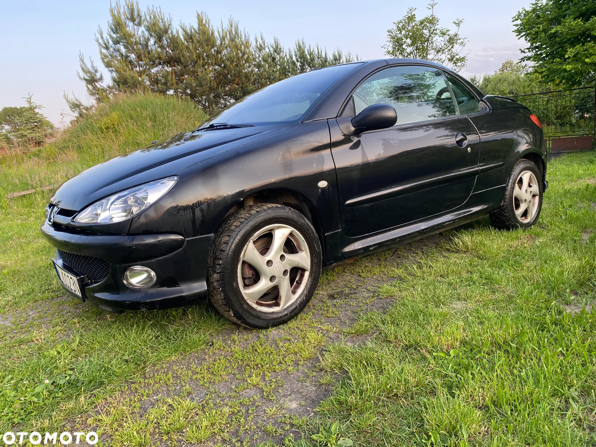 Peugeot 206 CC - 2