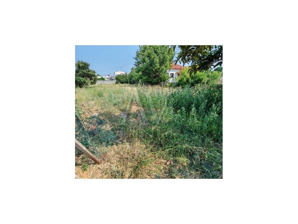 TERRENO IDEAL PARA CONSTRUÇÂO 5/6 FRAÇÕES - Grande imagem: 4/7