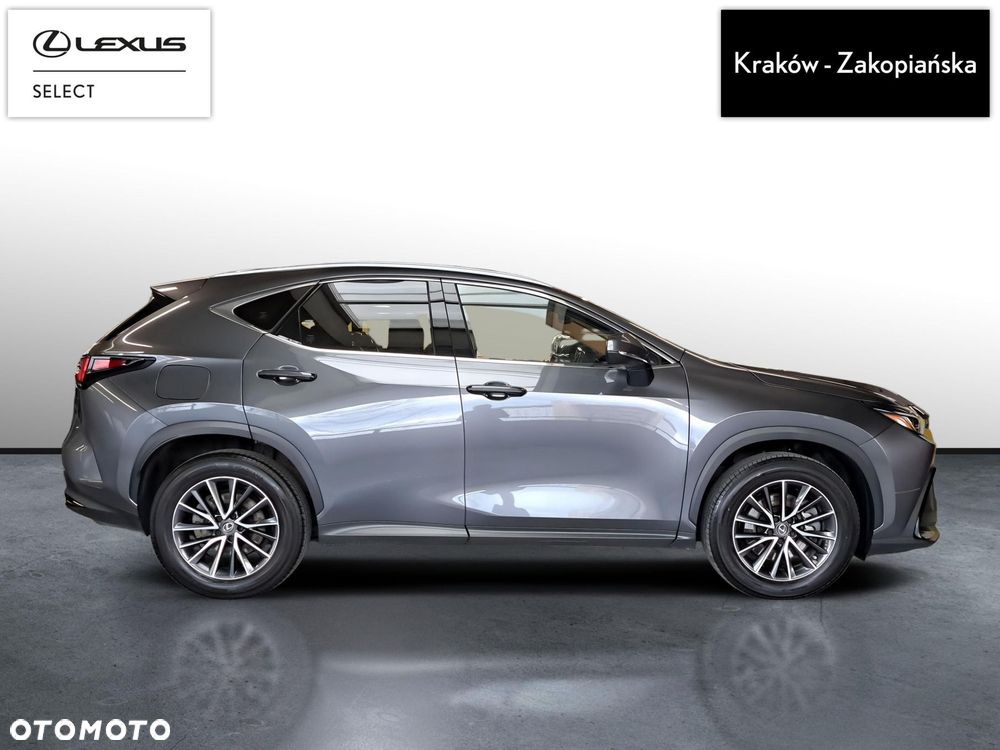 Lexus NX - 7