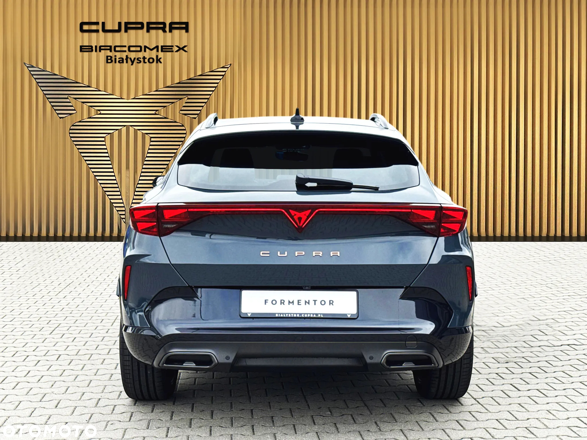 Cupra Formentor 2.0 TSI 4Drive DSG - 5